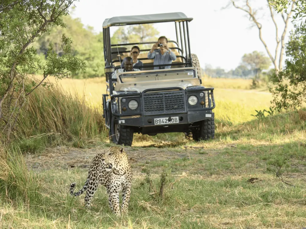 tourists-viewing-leopard